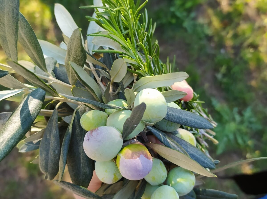 1774 Kazdagi Termal Butik Otel主图