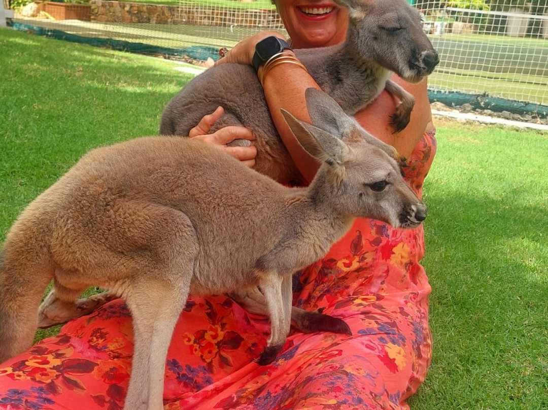 Island Vibe Destinations-Spanish Town必去景点