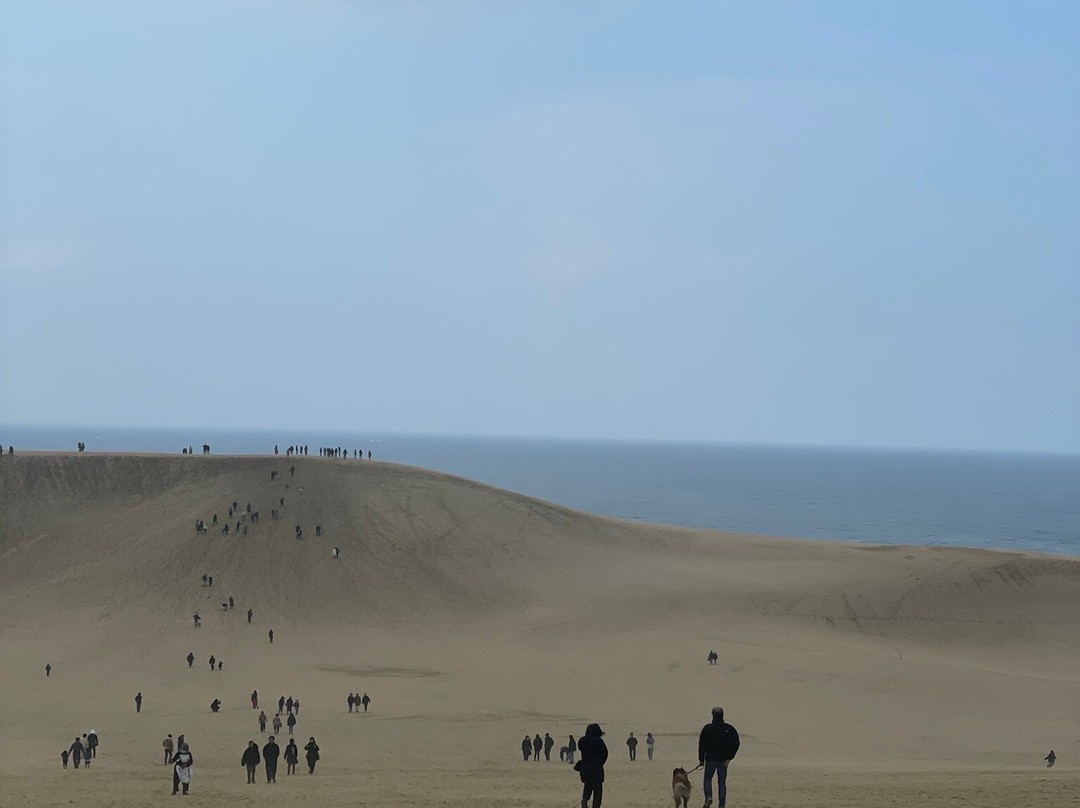 鸟取沙丘-鸟取市必去景点