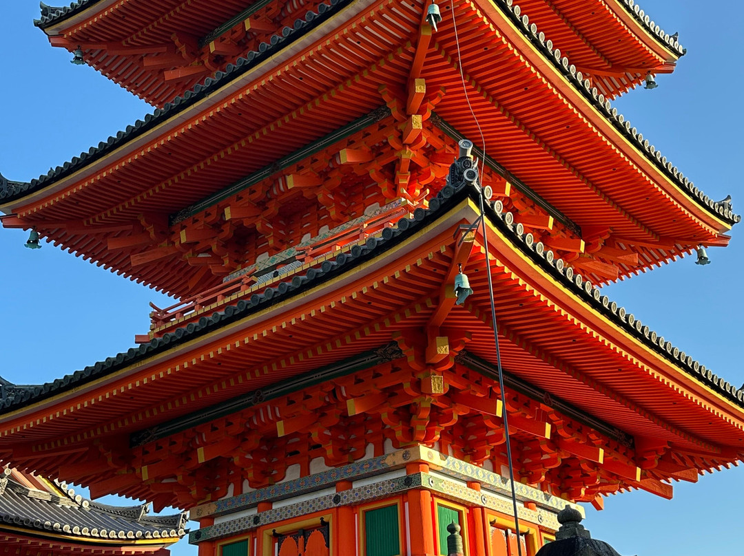 Mistral Tour-阿维尼翁必去景点