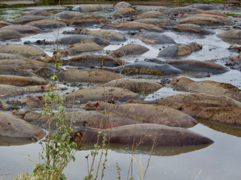 East African Voyage-阿鲁沙必去景点