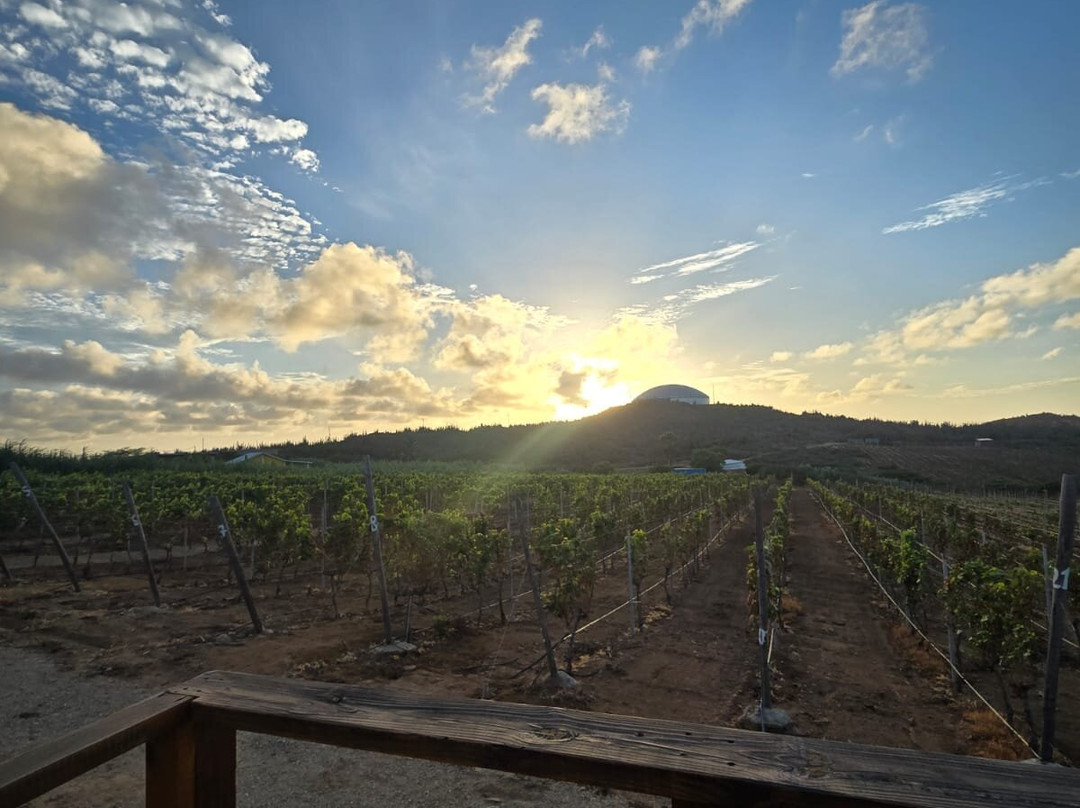 Alto Vista Winery-Noord必去景点