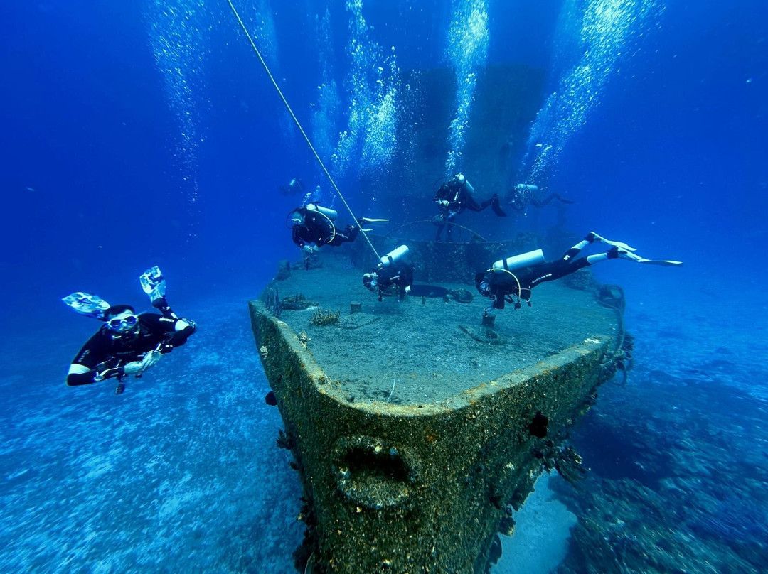 The Reef Marina-普拉亚德尔卡曼必去景点