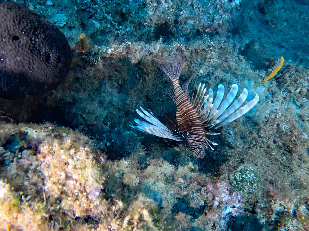 Epidive Center-埃皮达鲁斯必去景点