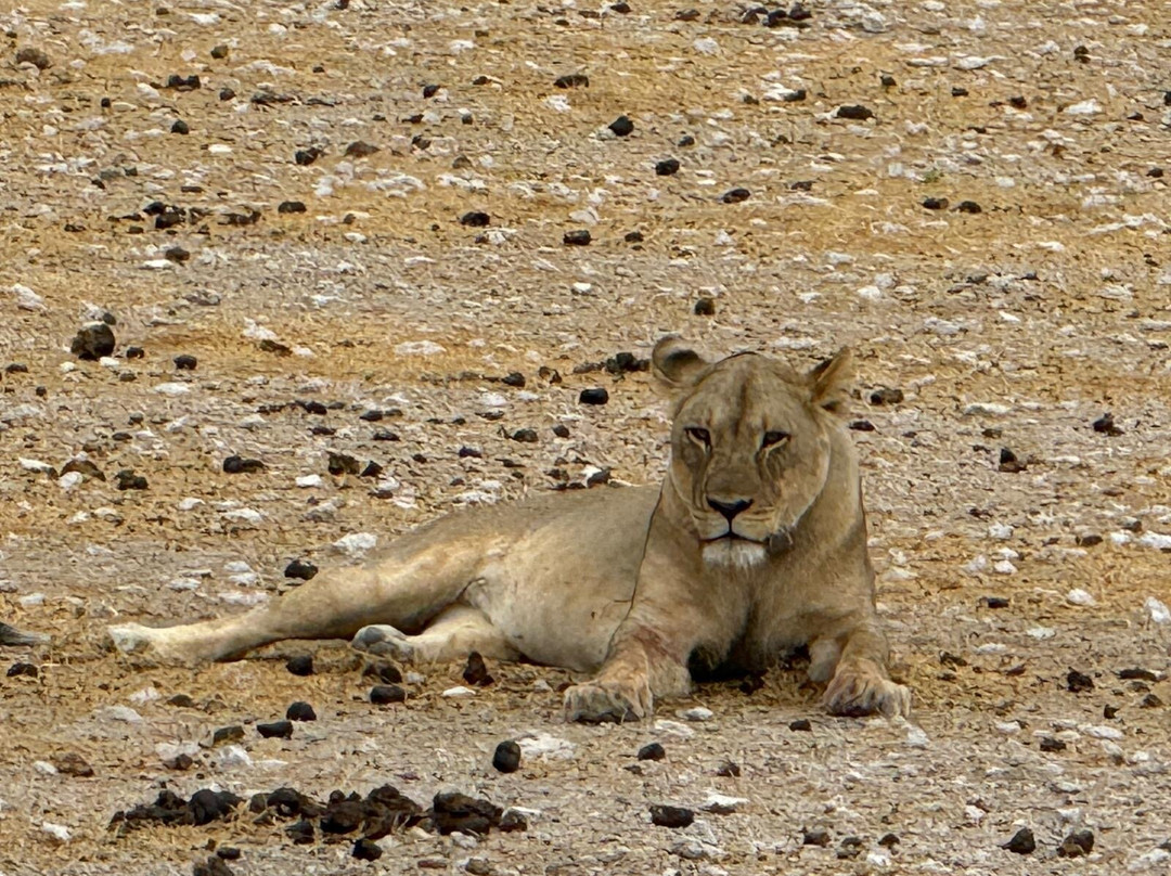 MilleMonti-布雷西亚必去景点