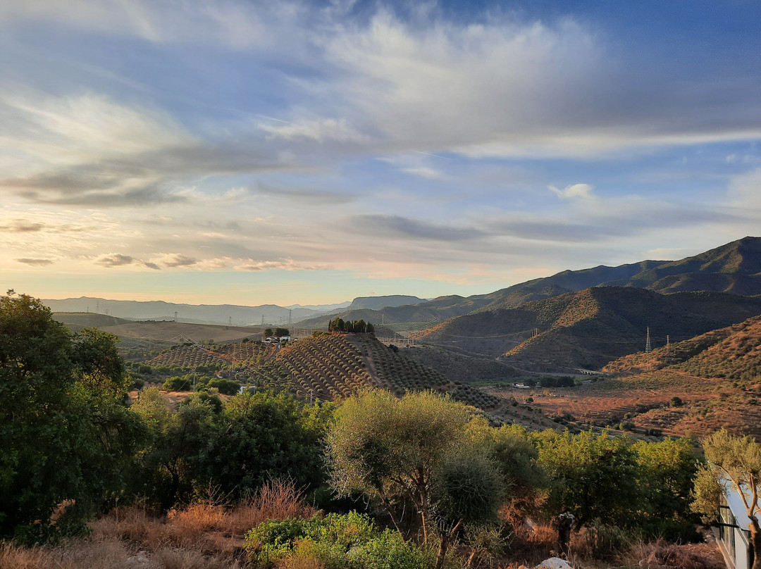 The Olive Branch El Chorro主图