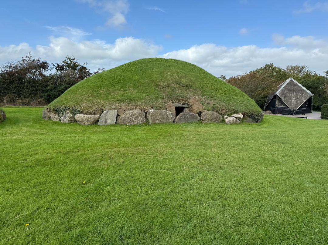 Mary Gibbons Tours-都柏林郡必去景点