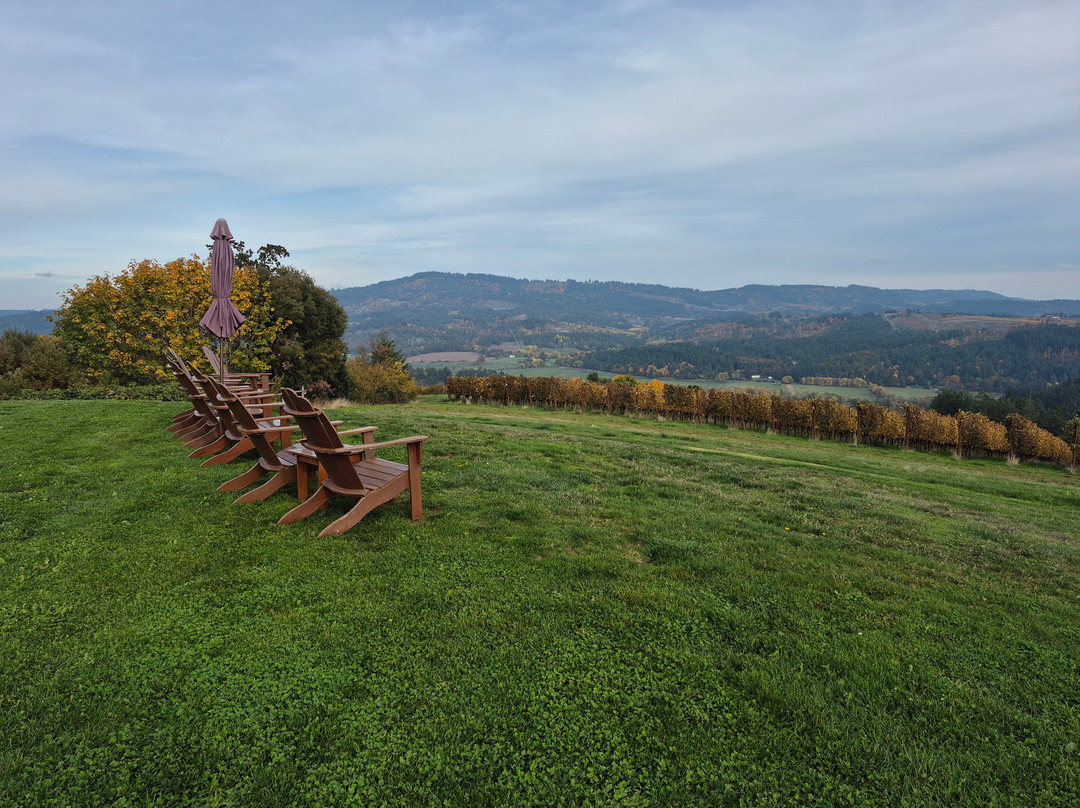 Fairsing Vineyard-Yamhill必去景点