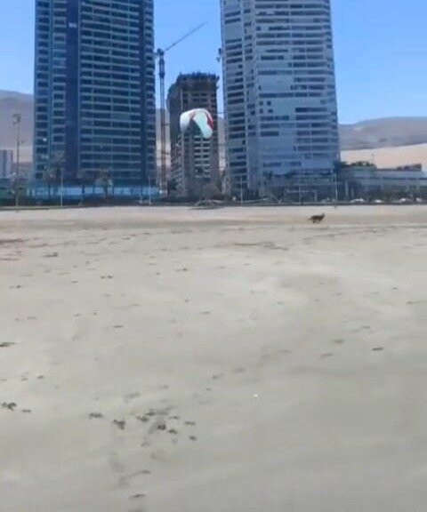 Playa Brava-伊基克必去景点