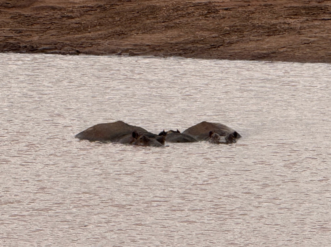 Dida Tours and Safaris-山祖必去景点