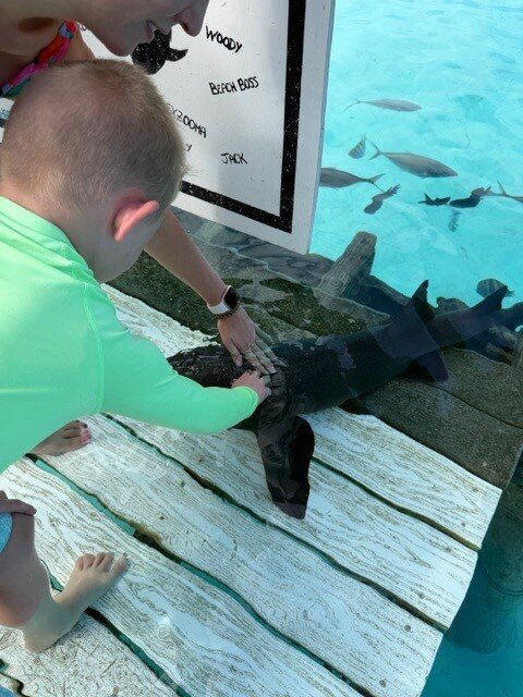 Great Guana Cay Adventures-Little Exuma必去景点