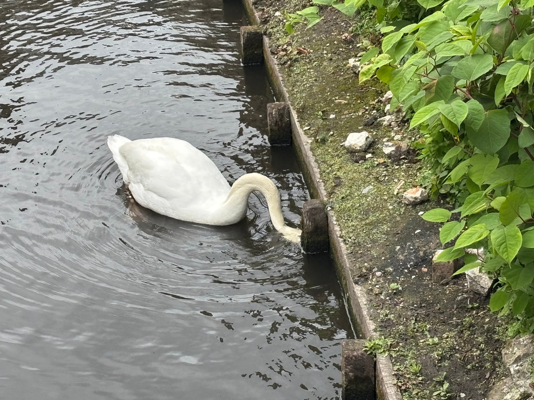 爱之湖-布鲁日必去景点