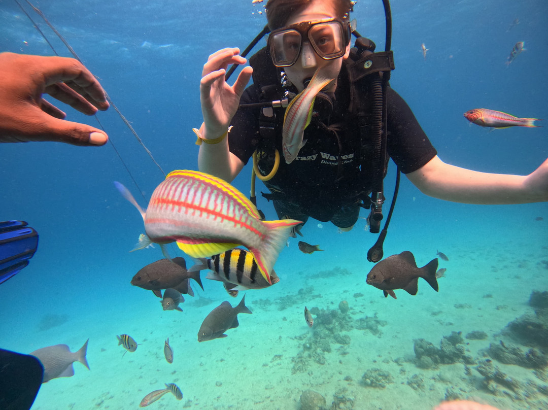 Crazy Waves Diving Club-赫尔格达必去景点