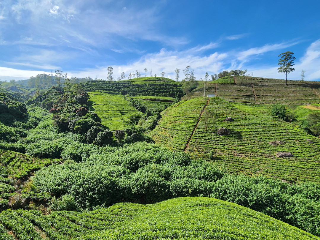 Explore More Travels & Tours-奴娃拉伊利雅必去景点