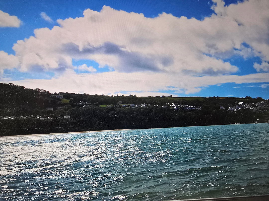 Dolphin Spotting Boat Trips (by New Quay Boat Trips)-纽基必去景点