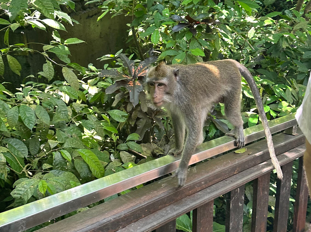 Bali Hire Driver-努沙杜瓦必去景点