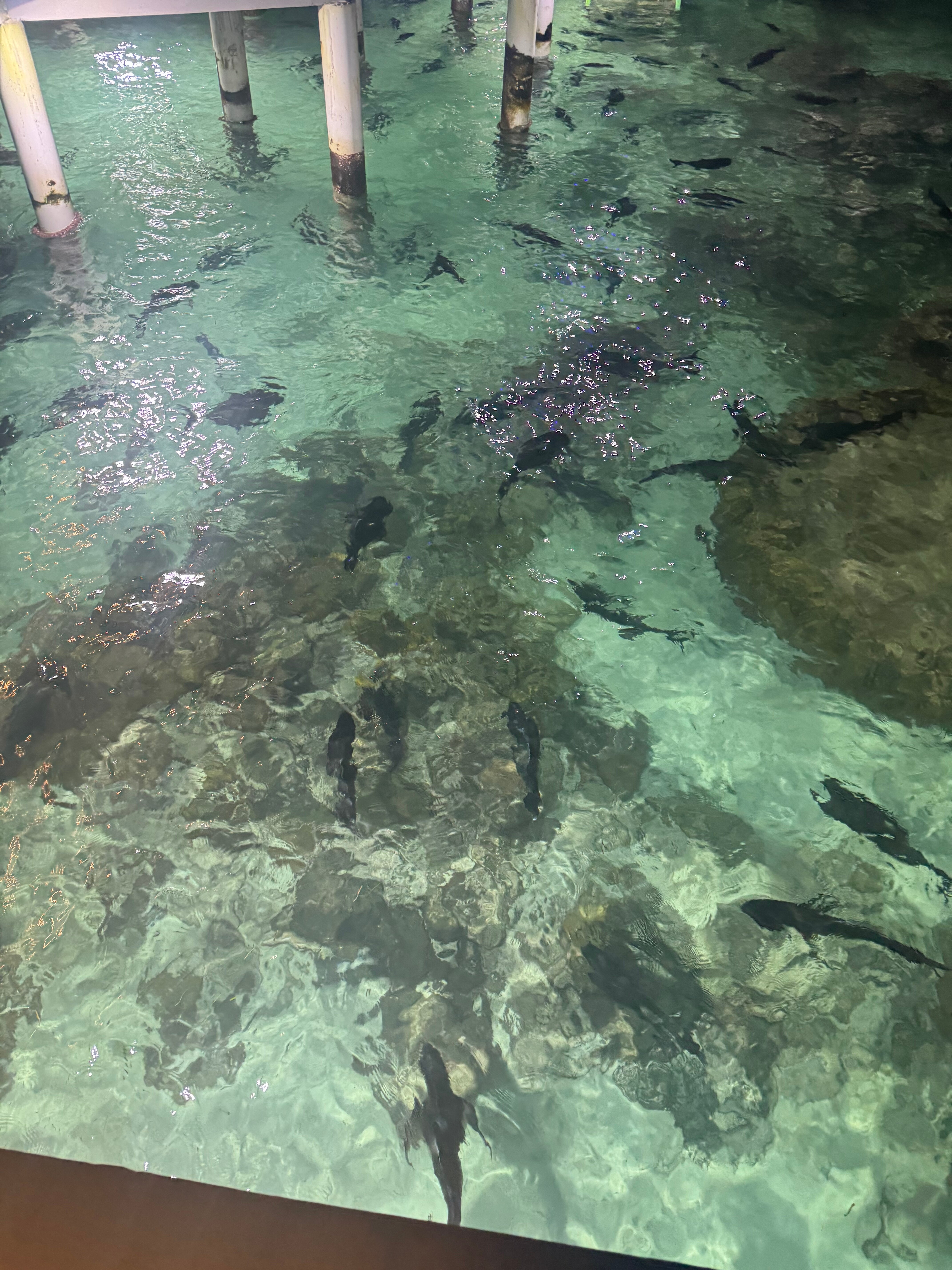 马尔代夫卡尼富士氛围尊贵全包度假酒店-浴室