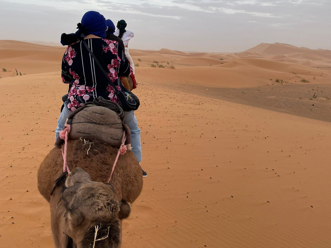 Morocco Tours-非斯必去景点