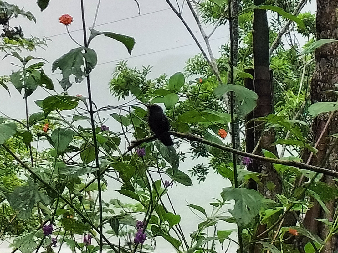 Peru Amazon Expeditions-Manu必去景点