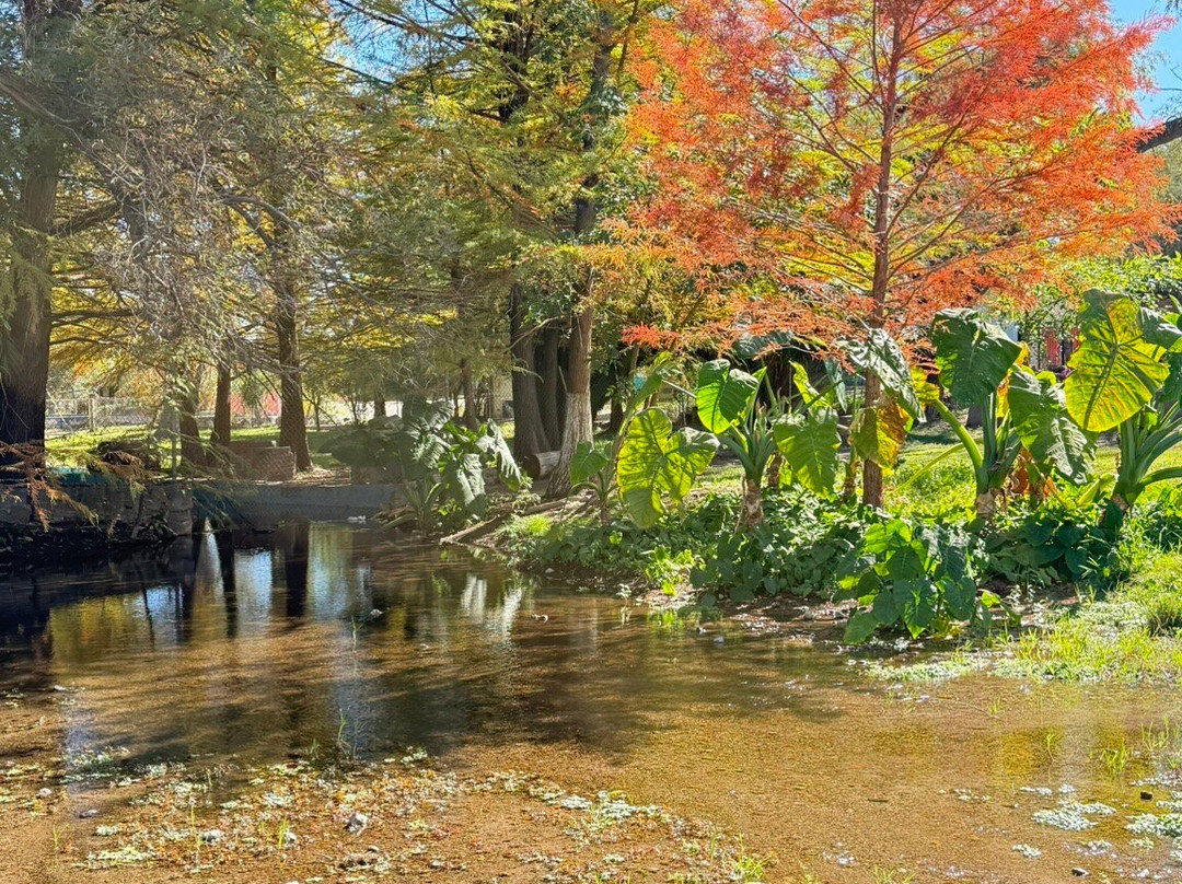 Coyote Tours VIP-Durango必去景点