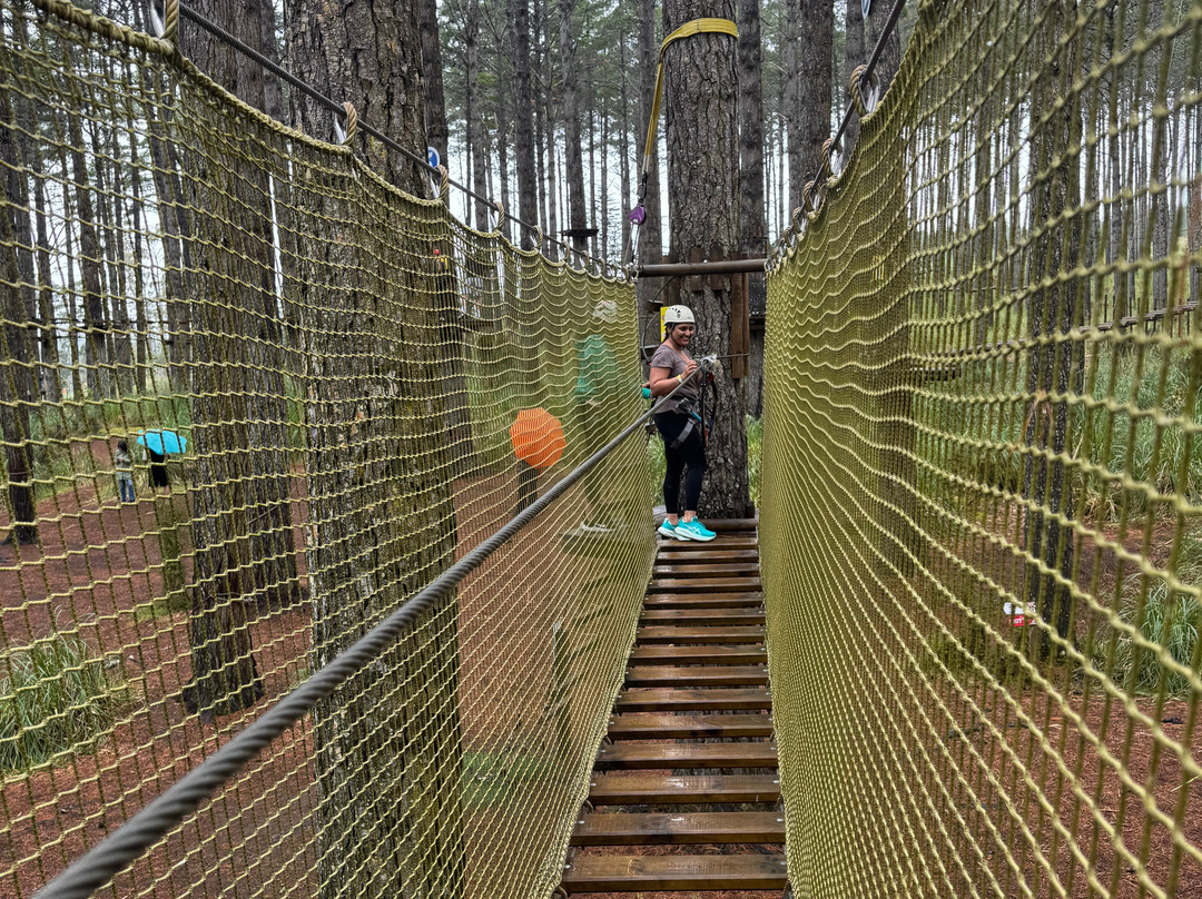 Tree Adventures-伍德山必去景点