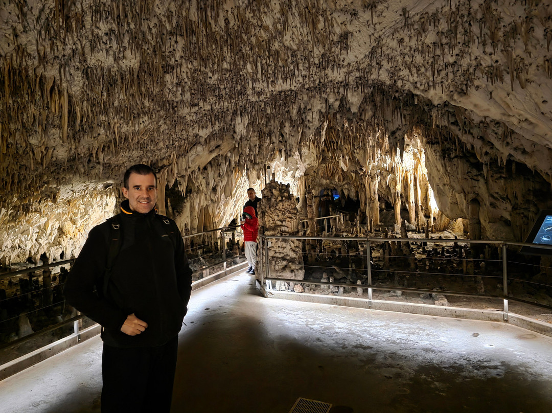 Vivarium-波斯托伊纳必去景点