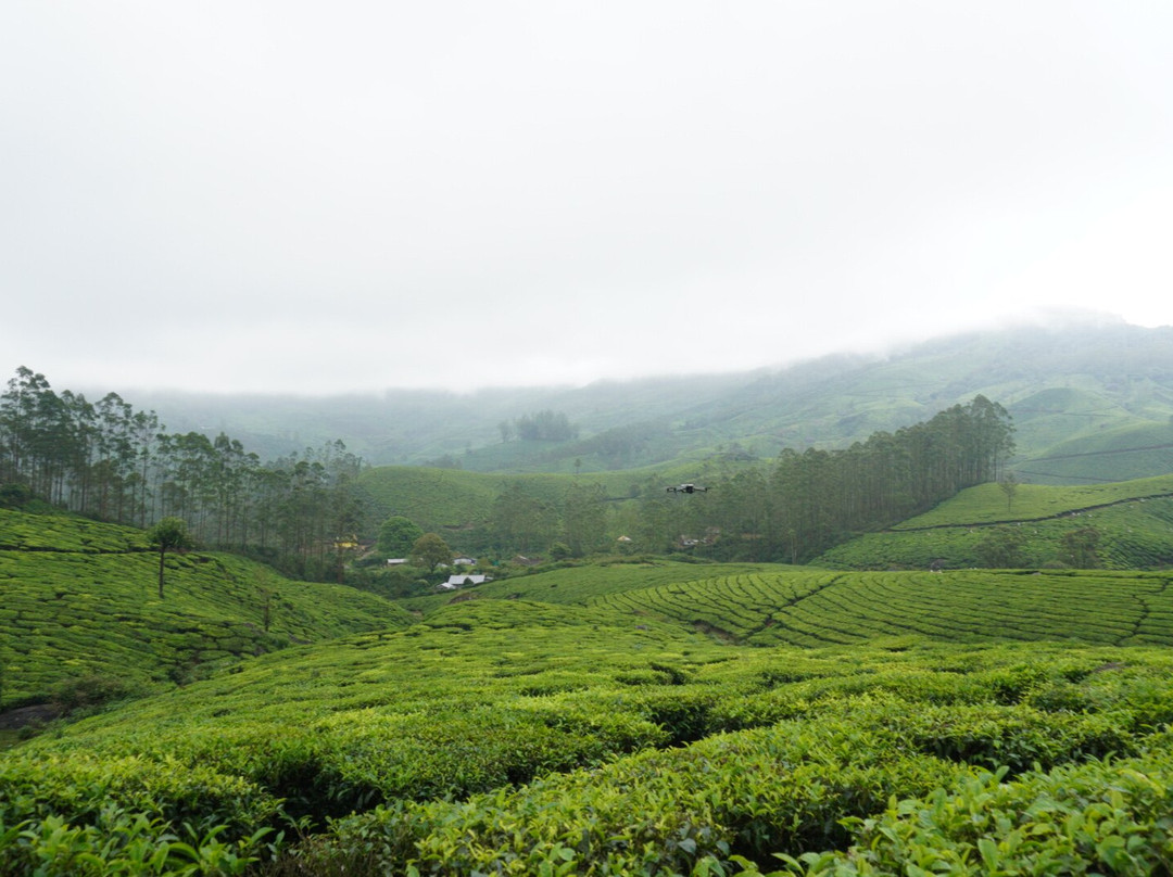 Kerala Holidays-柯钦必去景点