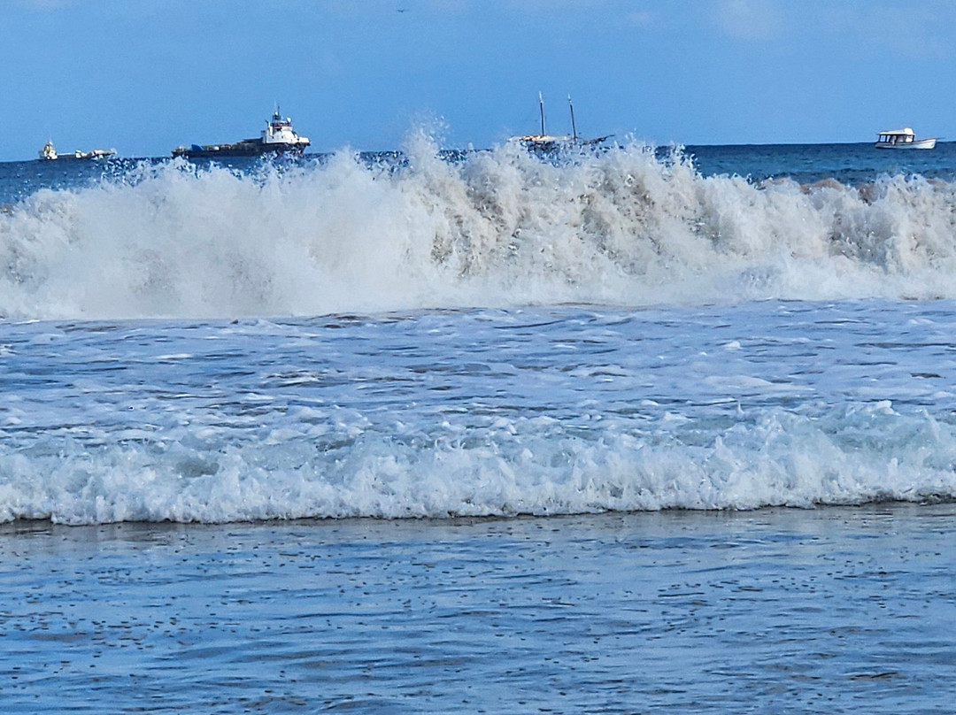 Primeirissima Turismo-费尔南多-迪诺罗尼亚群岛必去景点