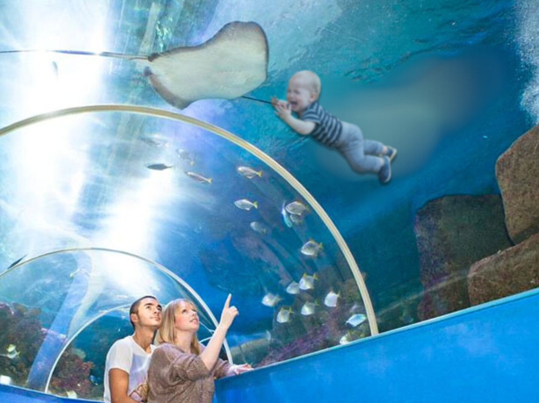 Hastings Aquarium-海斯廷斯必去景点