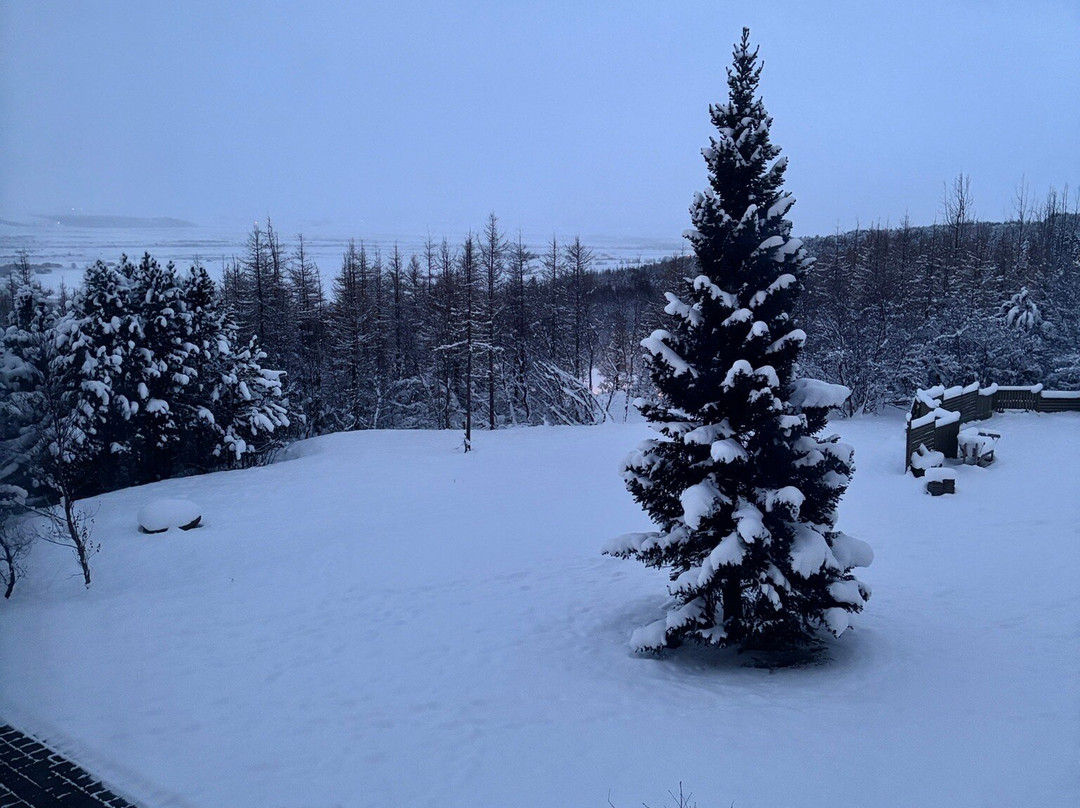 贾尔纳伦杜酒主图