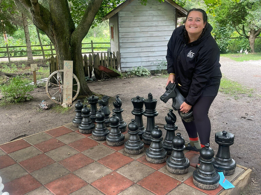 Horseshoe Falls-缪尼辛必去景点