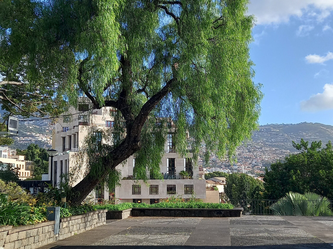 Parque de Santa Catarina-沙尔必去景点