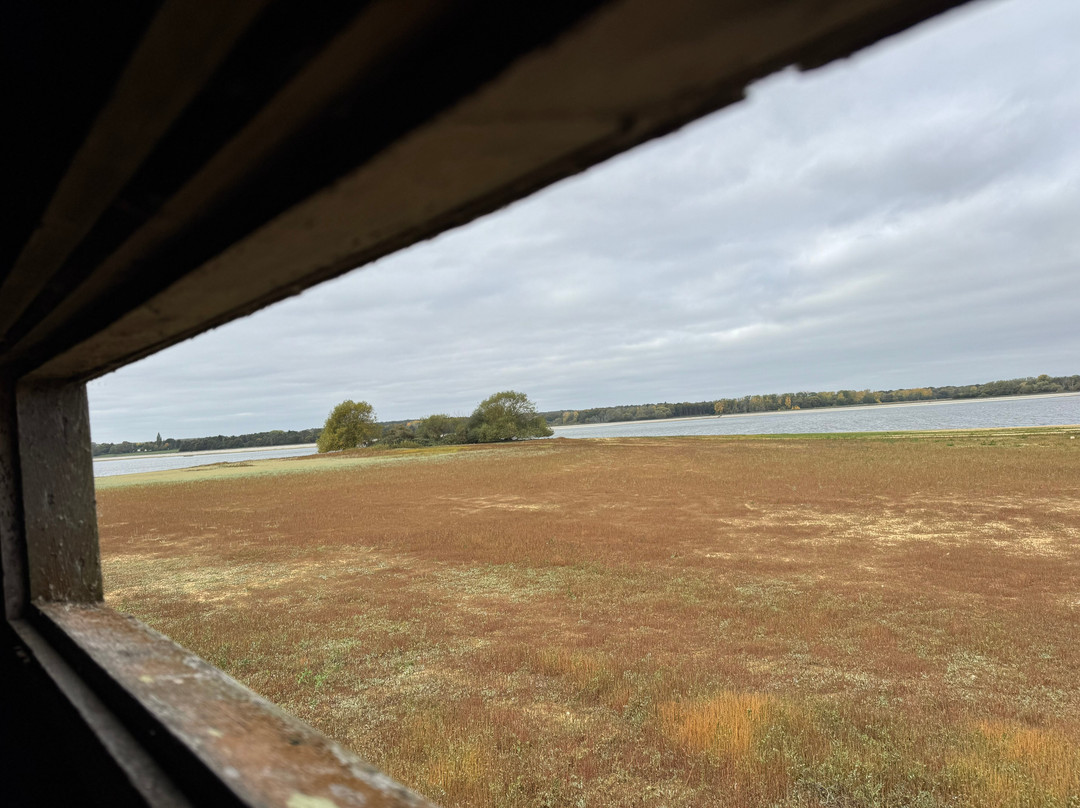 Hanningfield Nature Discovery Centre-Billericay必去景点