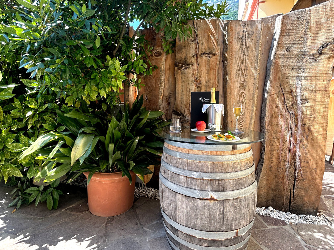 Mezzolombardo酒店住宿-Casa da Carmen Boutique & Private Spa