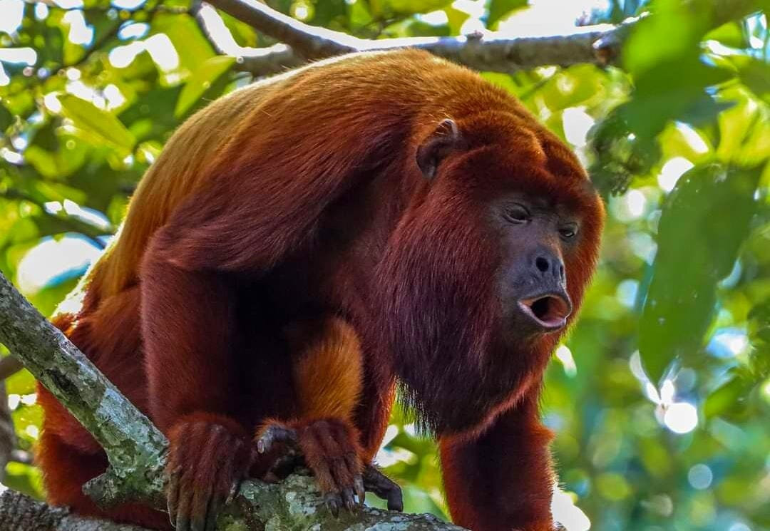 Cacao Celiza-Villanueva必去景点