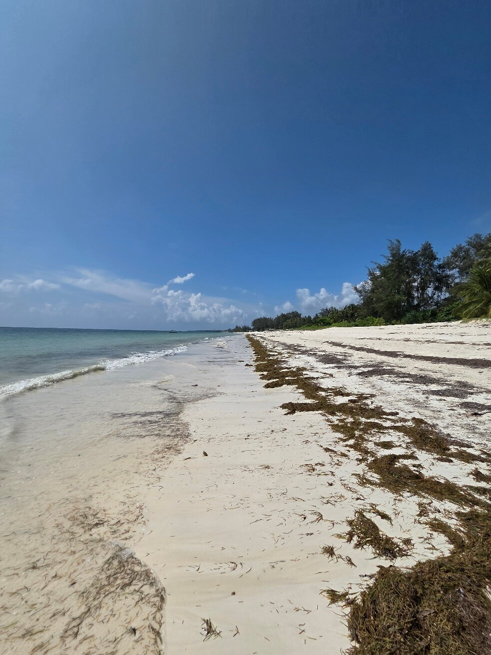 Pinewood Beach Resort and Spa-官方