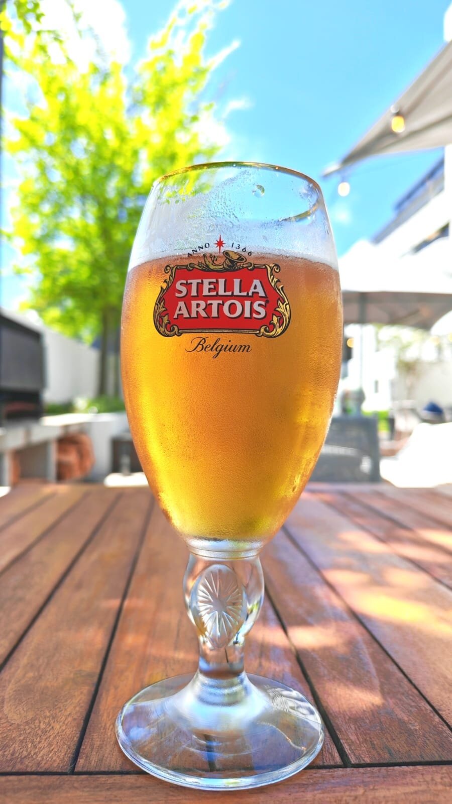 Hotel Montreal-官方