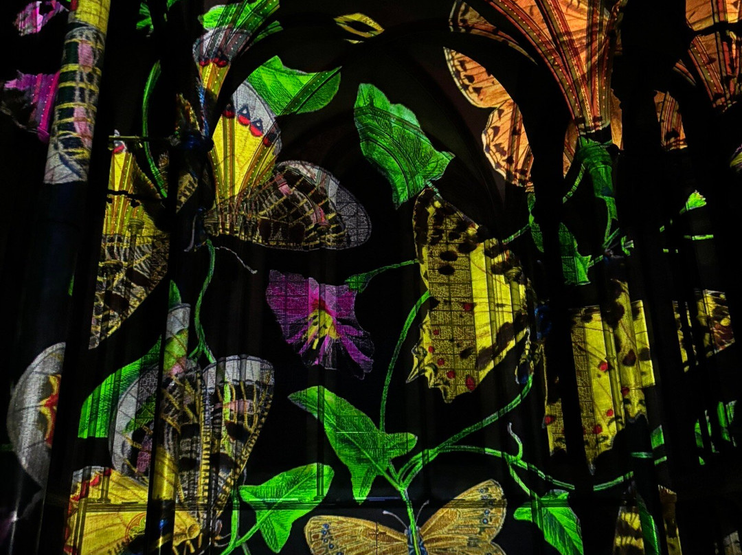 Salisbury Cathedral-索尔兹伯里必去景点