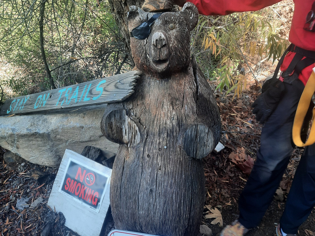 Skull Canyon Ziplines-科罗纳必去景点