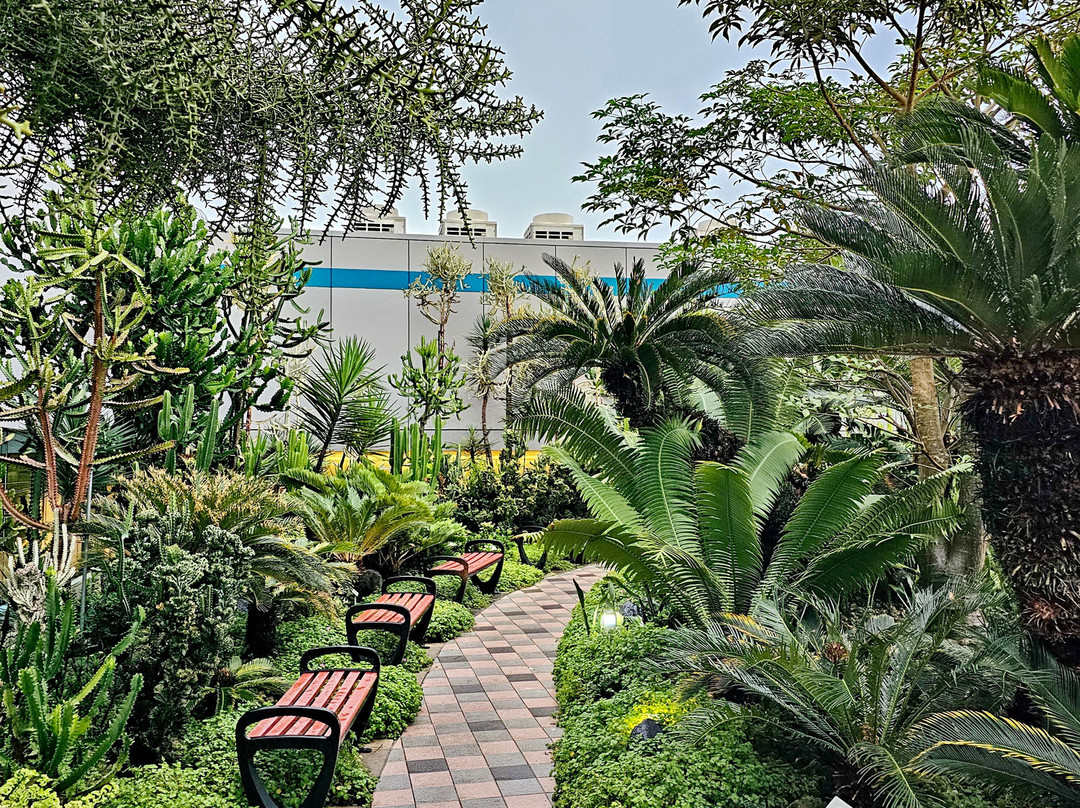 Cactus Garden-新加坡必去景点