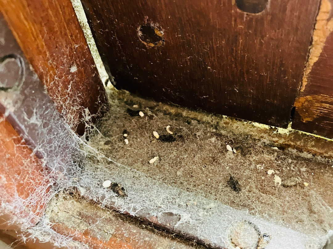 图布蒂姆度假酒店主图