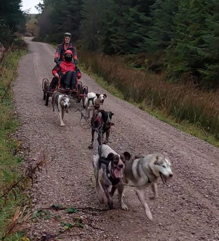 Mynydd Sleddog Adventures-Cerrigydrudion必去景点
