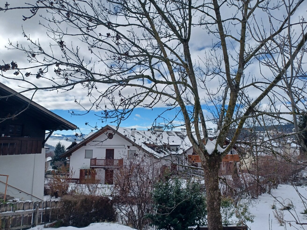 Parc Hotel Florian主图