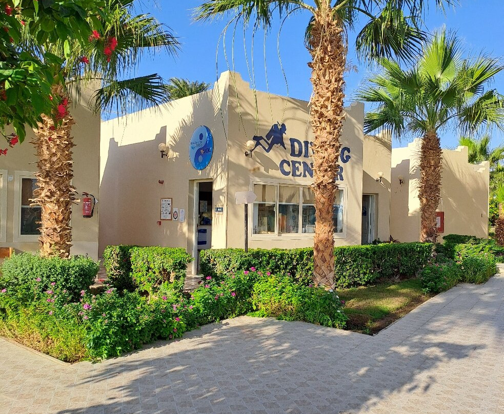 Ducks Diving Safaga-Safaga必去景点