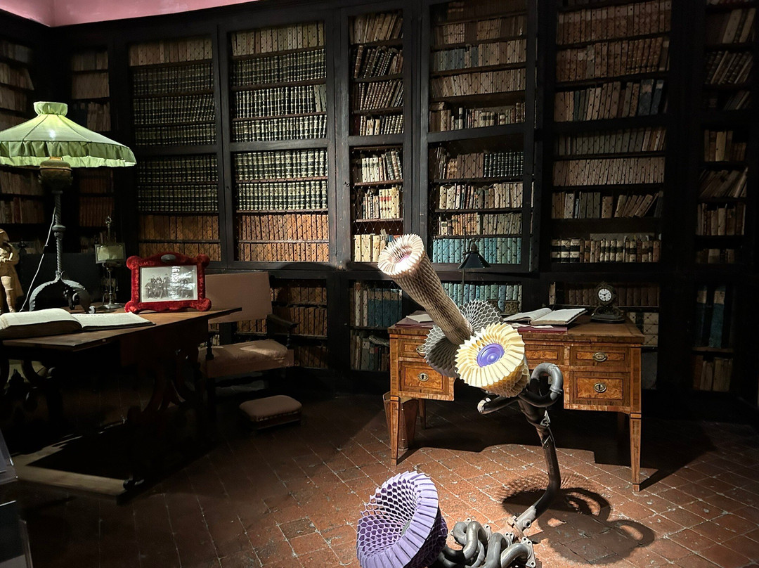 Palazzo Tozzoni-伊莫拉必去景点