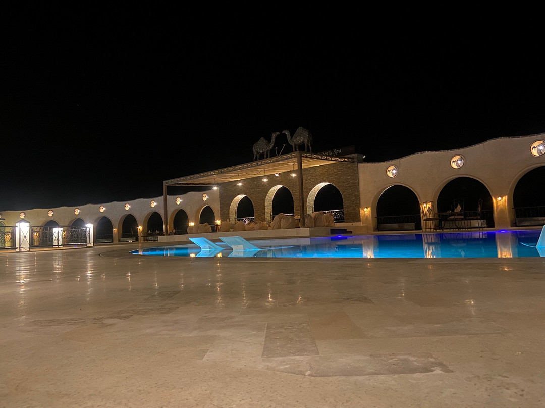 Nasser Palace Hôtel & Bivouacs主图