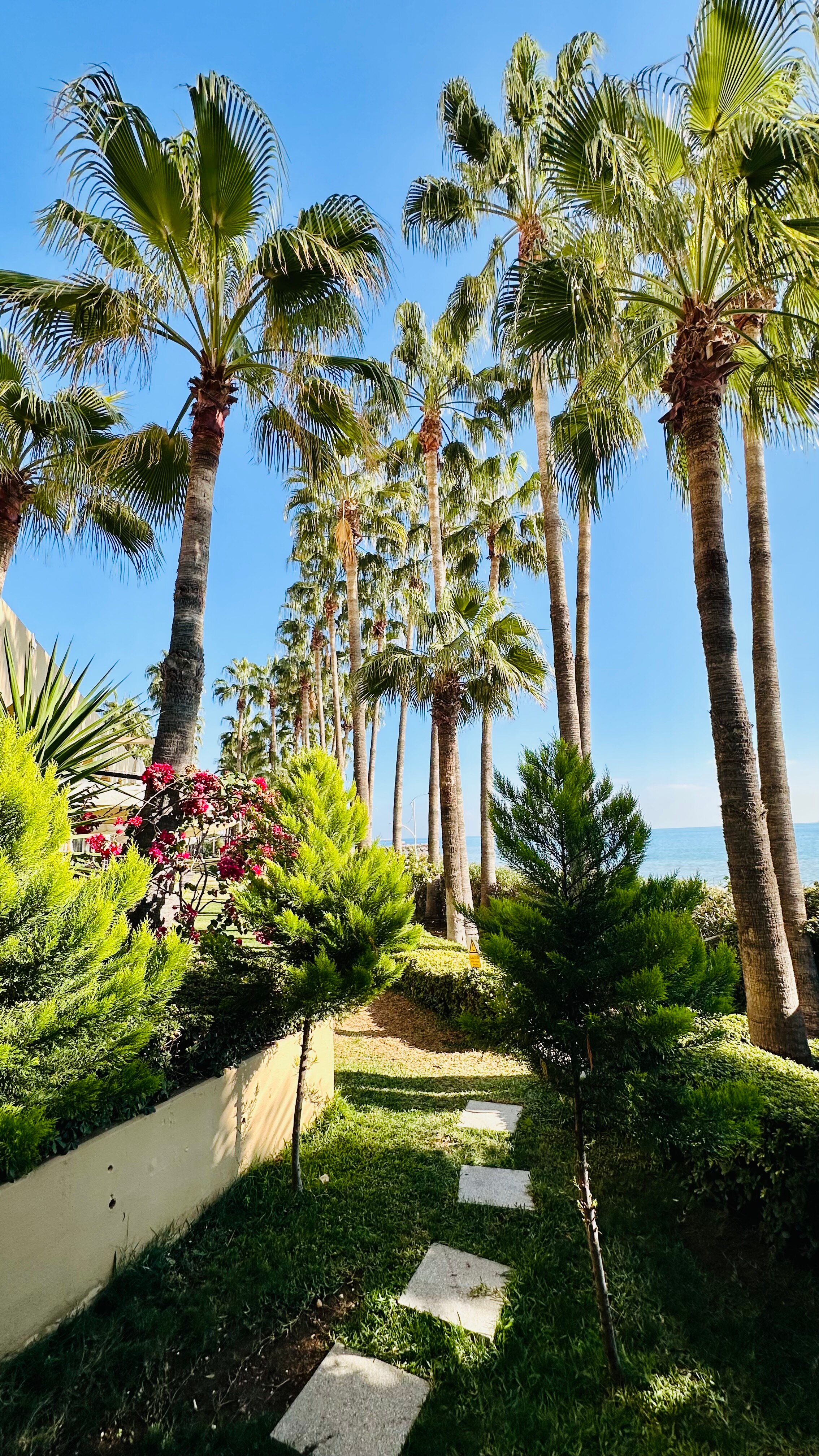 梅尔辛希尔顿酒店-官方