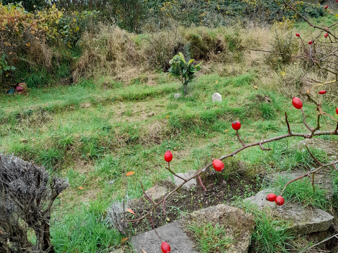 Molesey Heath Nature Reserve-West Molesey必去景点
