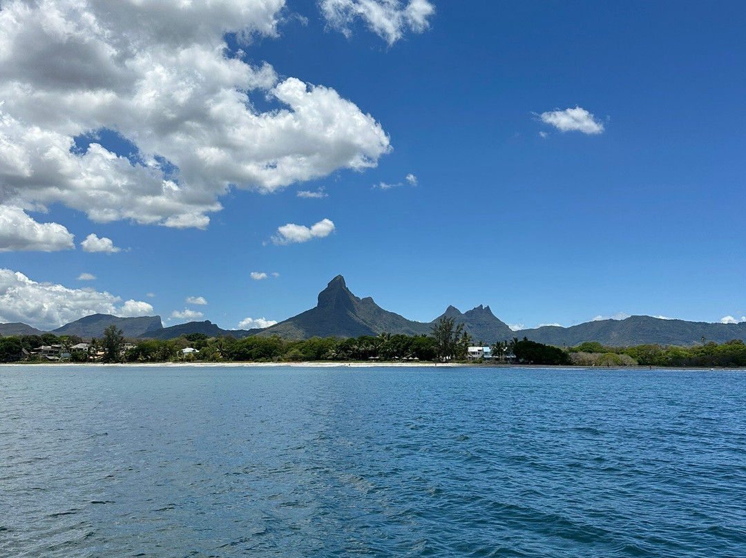 Dream Dolphin-黑河必去景点