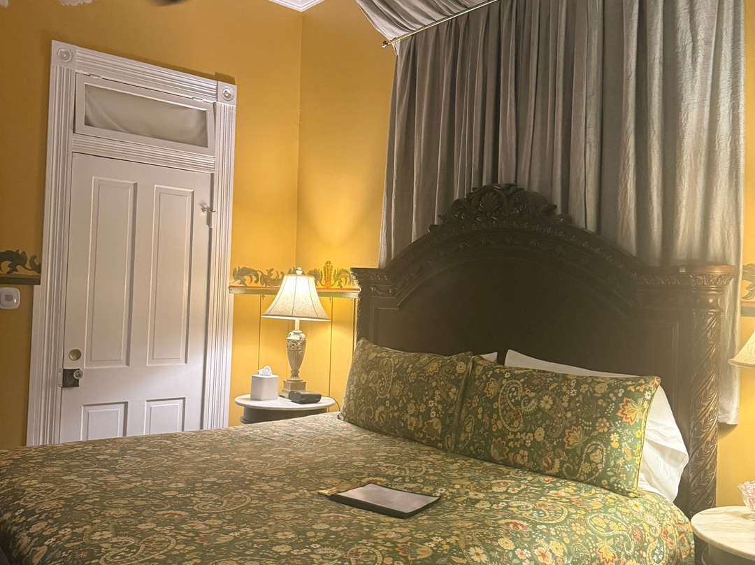 Violet Hill Bed And Breakfast主图